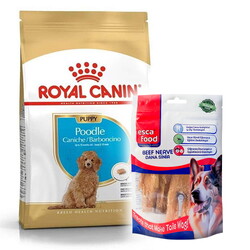Royal Canin - Royal Canin Poodle Puppy Yavru Köpek Irk Maması 3 Kg + Esca Food Köpek Ödülü