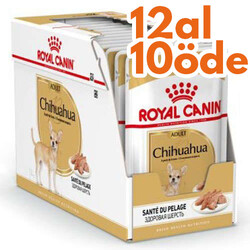 Royal Canin - Royal Canin Pouch Chihuahua Irkı Özel Yaş Köpek Maması 85 Gr - BOX - 12 Al 10 Öde