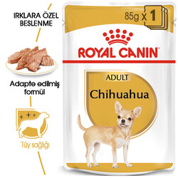 Royal Canin - Royal Canin Pouch Chihuahua Irkı Özel Yaş Köpek Maması 85 Gr