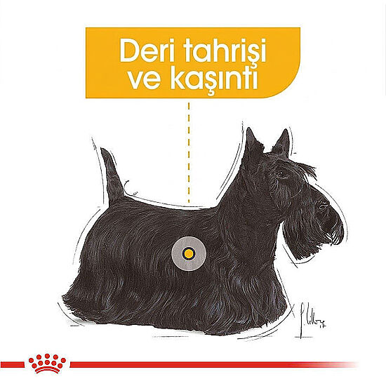 Royal Canin Pouch Dermacomfort Deri Tüy Sağlığı Köpek Yaş Maması 85 Gr x 6 Adet - 4