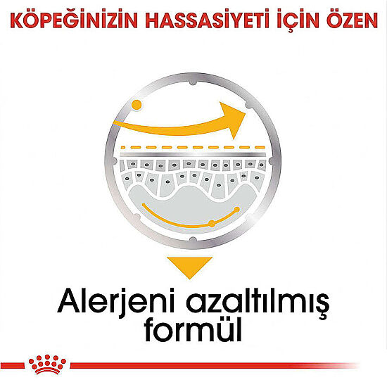 Royal Canin Pouch Dermacomfort Deri Tüy Sağlığı Köpek Yaş Maması 85 Gr x 6 Adet - 5