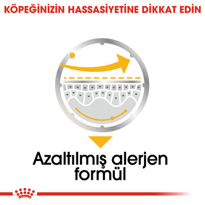 Royal Canin Pouch Dermacomfort Deri Tüy Sağlığı Köpek Yaş Maması 85 Gr - 6 Al 5 Öde