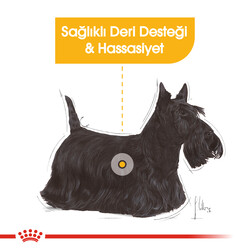 Royal Canin Pouch Dermacomfort Deri Tüy Sağlığı Köpek Yaş Maması 85 Gr - BOX - 12 Al 10 Öde - Thumbnail