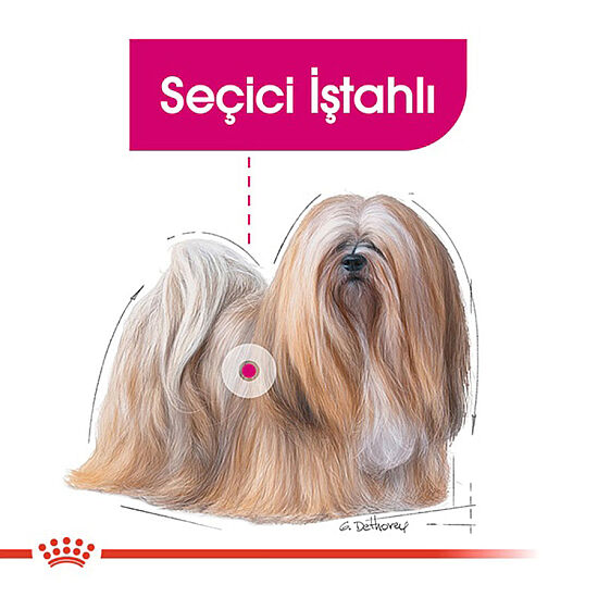 Royal Canin Pouch Exigent Seçici İştahlı Tüm Irklar İçin Köpek Yaş Maması 85 Gr x 6 Adet - 4