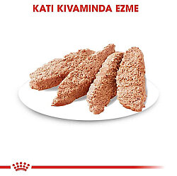Royal Canin Pouch Exigent Seçici İştahlı Tüm Irklar İçin Köpek Yaş Maması 85 Gr x 6 Adet - 3