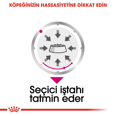 Royal Canin Pouch Exigent Adult Tüm Irklar İçin Köpek Yaş Maması 85 Gr - BOX - x 12 Adet - 4