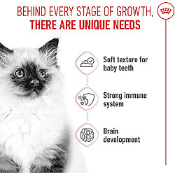 Royal Canin Pouch Gravy Kitten Sterilised Kısırlaştırılmış Yavru Yaş Kedi Maması 85 Gr x 6 Adet - 14