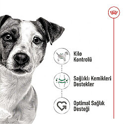 Royal Canin Pouch Mini Adult Köpek Yaş Maması 85 Gr - BOX - x 12 Adet - 4