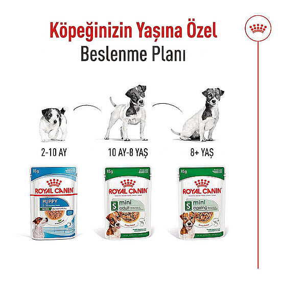 Royal Canin Pouch Mini Adult Köpek Yaş Maması 85 Gr - 5