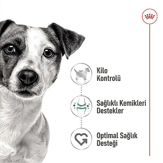 Royal Canin Pouch Mini Adult Köpek Yaş Maması 85 Gr x 6 Adet - 3