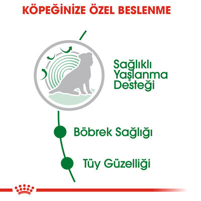 Royal Canin Pouch Mini Ageing Yaşlı Köpek Yaş Maması 85 Gr - BOX - x 12 Adet - 4