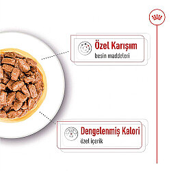 Royal Canin Pouch Mini Ageing Yaşlı Köpek Yaş Maması 85 Gr - 4