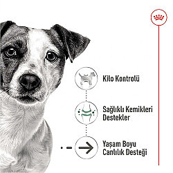 Royal Canin Pouch Mini Ageing Yaşlı Köpek Yaş Maması 85 Gr x 6 Adet - 4