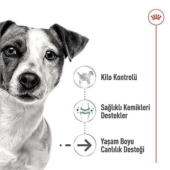 Royal Canin Pouch Mini Ageing Yaşlı Köpek Yaş Maması 85 Gr x 6 Adet - 4