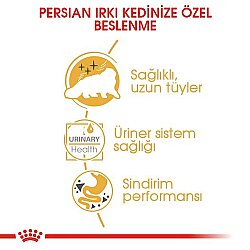 Royal Canin BOX Pouch Persian İran Kedilerine Özel Yaş Maması 85 Gr x 12 Adet - 4