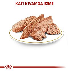 Royal Canin BOX Pouch Persian İran Kedilerine Özel Yaş Maması 85 Gr x 12 Adet - 5