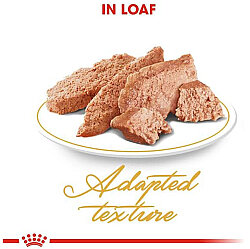 Royal Canin Pouch Persian İran Kedilerine Özel Yaş Maması 85 Gr - Royal Canin (1)