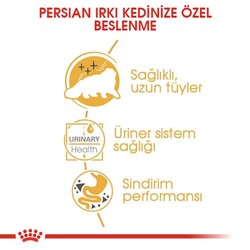 Royal Canin Pouch Persian İran Kedilerine Özel Yaş Maması 85 Gr x 6 Adet - Thumbnail