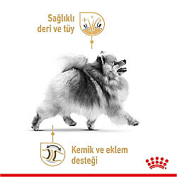 Royal Canin Pouch Pomeranian Irkı Özel Yaş Köpek Maması 85 Gr - BOX - x 12 Adet - 5
