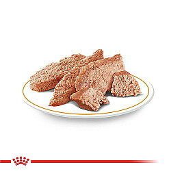 Royal Canin Pouch Poodle Irkı Özel Yaş Köpek Maması 85 Gr - BOX - x 12 Adet - 6