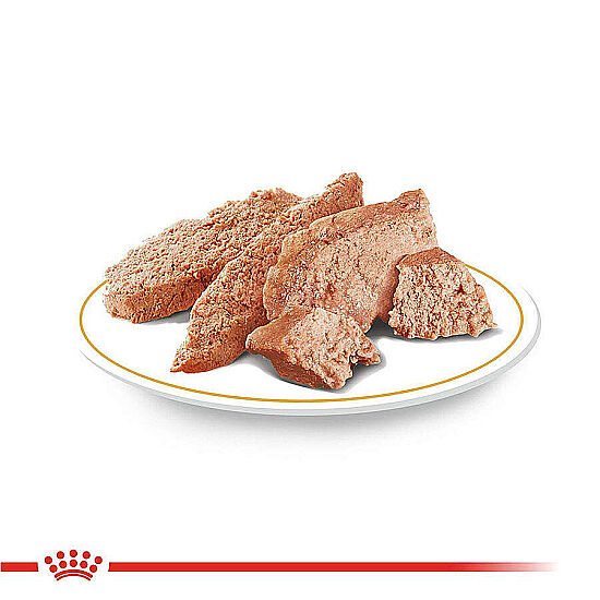 Royal Canin Pouch Poodle Irkı Özel Yaş Köpek Maması 85 Gr - BOX - x 12 Adet - 6