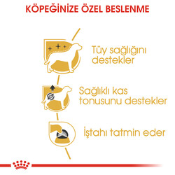 Royal Canin Pouch Poodle Irkı Özel Yaş Köpek Maması 85 Gr - BOX - 12 Al 10 Öde - Thumbnail