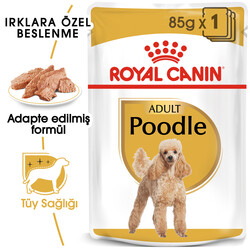 Royal Canin - Royal Canin Pouch Poodle Irkı Özel Yaş Köpek Maması 85 Gr