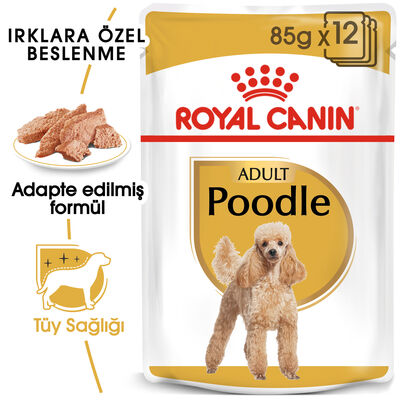 Royal Canin Pouch Poodle Irkı Özel Yaş Köpek Maması 85 Gr x 6 Adet - 2