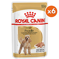 Royal Canin Pouch Poodle Irkı Özel Yaş Köpek Maması 85 Gr x 6 Adet - Royal Canin