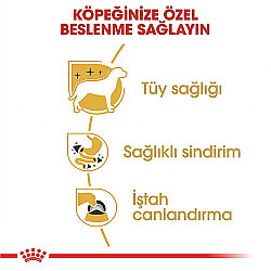 Royal Canin Pouch Poodle Irkı Özel Yaş Köpek Maması 85 Gr x 6 Adet - 6