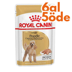 Royal Canin - Royal Canin Pouch Poodle Irkı Özel Yaş Köpek Maması 85 Gr - 6 Al 5 Öde