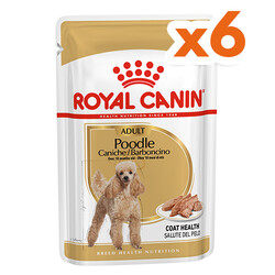 Royal Canin - Royal Canin Pouch Poodle Irkı Özel Yaş Köpek Maması 85 Gr x 6 Adet
