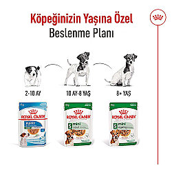 Royal Canin Pouch Mini Puppy Yavru Köpek Yaş Maması 85 Gr - 6