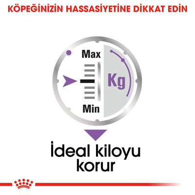 Royal Canin Pouch Sterilised Adult Tüm Irklar İçin Kısır Köpek Yaş Maması 85 Gr - 6 Al 5 Öde