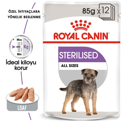Royal Canin Pouch Sterilised Adult Tüm Irklar İçin Kısır Köpek Yaş Maması 85 Gr - BOX - 12 Al 10 Öde