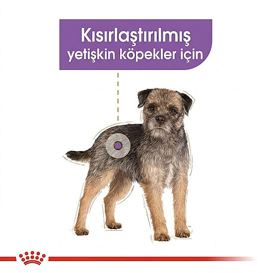 Royal Canin Pouch Sterilised Adult Tüm Irklar İçin Kısırlaştırılmış Köpek Yaş Maması 85 Gr - 3