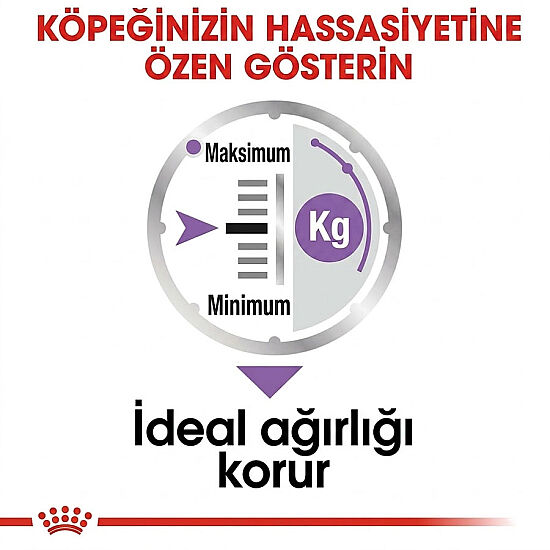Royal Canin Pouch Sterilised Adult Tüm Irklar İçin Kısırlaştırılmış Köpek Yaş Maması 85 Gr - 6