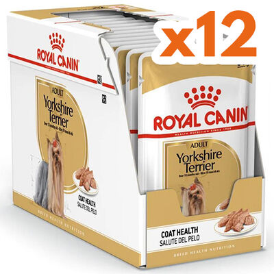 Royal Canin Pouch Yorkshire Terrier Irkı Özel Yaş Köpek Maması 85 Gr - BOX - x 12 Adet - 1