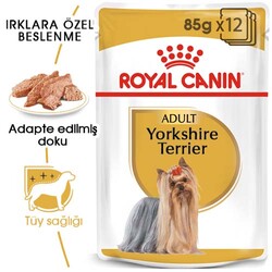 Royal Canin Pouch Yorkshire Terrier Irkı Özel Yaş Köpek Maması 85 Gr - BOX - 12 Al 10 Öde - Thumbnail