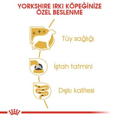 Royal Canin Pouch Yorkshire Terrier Irkı Özel Yaş Köpek Maması 85 Gr - BOX - 12 Al 10 Öde