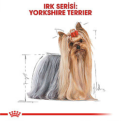 Royal Canin Pouch Yorkshire Terrier Irkı Özel Yaş Köpek Maması 85 Gr x 6 Adet - 5
