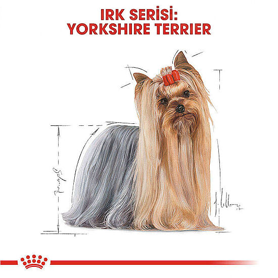Royal Canin Pouch Yorkshire Terrier Irkı Özel Yaş Köpek Maması 85 Gr x 6 Adet - 5