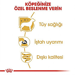 Royal Canin Pouch Yorkshire Terrier Irkı Özel Yaş Köpek Maması 85 Gr x 6 Adet - 6