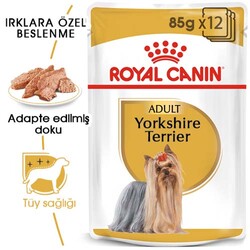 Royal Canin Pouch Yorkshire Terrier Irkı Özel Yaş Köpek Maması 85 Gr - 6 Al 5 Öde - Thumbnail