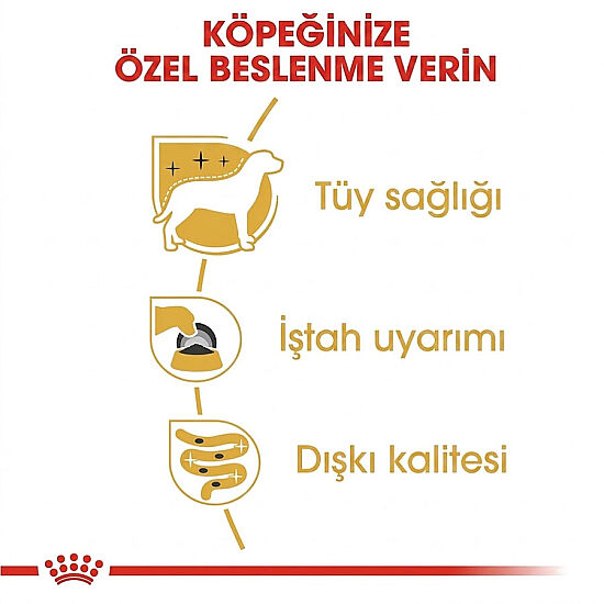 Royal Canin Pouch Yorkshire Terrier Irkı Özel Yaş Köpek Maması 85 Gr - 5