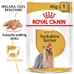 Royal Canin Pouch Yorkshire Terrier Irkı Özel Yaş Köpek Maması 85 Gr - Thumbnail