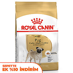 Royal Canin Pug Irkına Özel Köpek Maması 1,5 Kg + Temizlik Mendili - Royal Canin