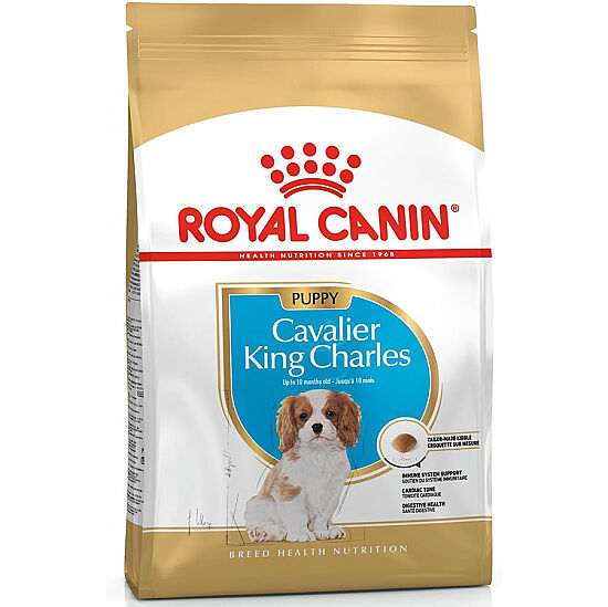 Royal Canin Cavalier King Charles Puppy Yavru Köpek Maması 1,5 Kg + Temizlik Mendili - 2