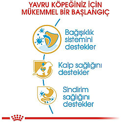 Royal Canin Cavalier King Charles Puppy Yavru Köpek Maması 1,5 Kg + Temizlik Mendili - 4