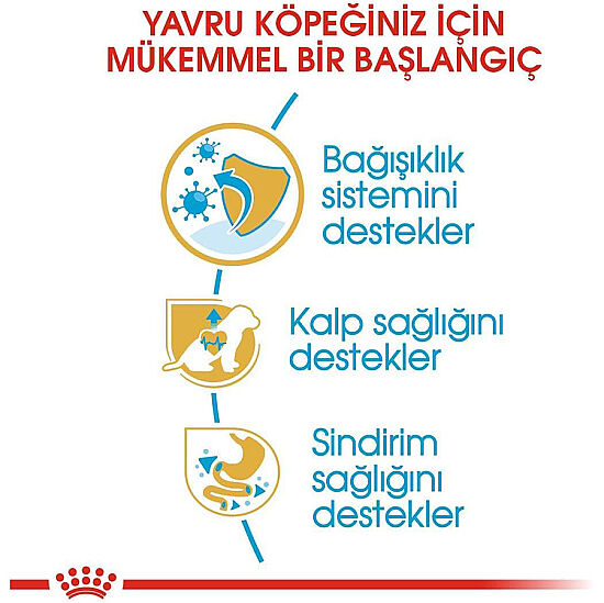 Royal Canin Cavalier King Charles Puppy Yavru Köpek Maması 1,5 Kg + Temizlik Mendili - 4